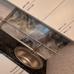 Продажа 2 комнатная Новостройка, Сарай, Абшерон район 10