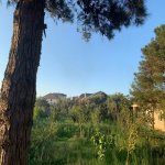 Satılır Torpaq, Novxanı, Abşeron rayonu 7