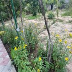 Satılır 6 otaqlı Həyət evi/villa, Buzovna, Xəzər rayonu 13
