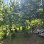 Kirayə (günlük) 3 otaqlı Bağ evi Qəbələ 11