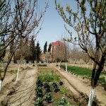 Satılır 6 otaqlı Həyət evi/villa, Buzovna, Xəzər rayonu 8