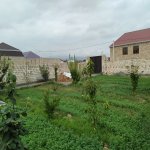 Satılır Torpaq Gəncə 5