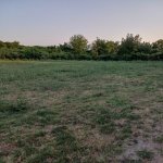 Satılır Torpaq Şəki 24