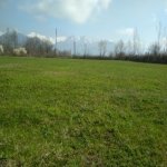 Продажа Участок Гябяля 1