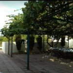 Satılır 3 otaqlı Bağ evi, Bilgəh qəs., Sabunçu rayonu 3