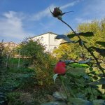 Продажа 6 комнатная Дома/Виллы, Масазыр, Абшерон район 8