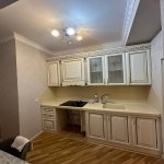 Kirayə (aylıq) 3 otaqlı Yeni Tikili, Azadlıq metrosu, Binəqədi rayonu 8