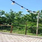 Kirayə (günlük) 13 otaqlı Bağ evi İsmayıllı 11