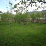 Kirayə (günlük) 5 otaqlı Həyət evi/villa İsmayıllı 5