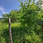 Satılır 4 otaqlı Həyət evi/villa Qəbələ 6
