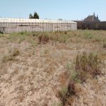 Satılır Torpaq, Zirə, Xəzər rayonu 3