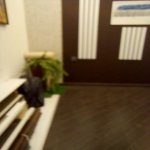 Satılır 4 otaqlı Bağ evi, Mərdəkan, Xəzər rayonu 15