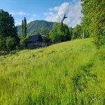 Satılır Torpaq Qəbələ 2