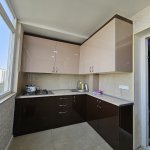 Kirayə (aylıq) 2 otaqlı Yeni Tikili, 8 Noyabr metrosu, Nəsimi rayonu 12