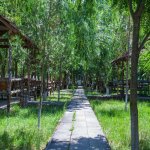 Kirayə (günlük) 3 otaqlı Həyət evi/villa Quba 10
