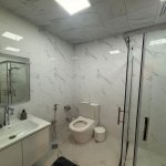 Kirayə (aylıq) 2 otaqlı Yeni Tikili, Nəriman Nərimanov metrosu, Montin qəs., Nərimanov rayonu 14