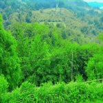 Kirayə (günlük) 3 otaqlı Həyət evi/villa Lerik 15