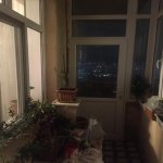 Kirayə (aylıq) 2 otaqlı Yeni Tikili, Nəsimi metrosu, Binəqədi rayonu 13