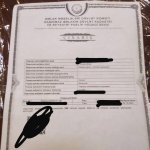 Satılır Torpaq Qəbələ 10