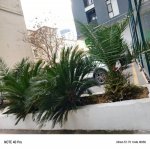 Kirayə (aylıq) 2 otaqlı Yeni Tikili, Nəriman Nərimanov metrosu, Nərimanov rayonu 9