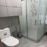 Kirayə (aylıq) 2 otaqlı Yeni Tikili, Həzi Aslanov metrosu, Əhmədli, Xətai rayonu 19