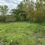 Satılır Torpaq Gəncə 3