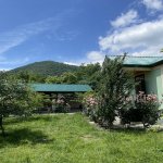 Kirayə (günlük) 3 otaqlı Həyət evi/villa Qəbələ 2
