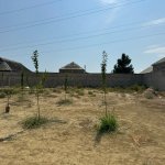 Satılır Torpaq, Mərdəkan, Xəzər rayonu 6