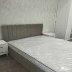 Kirayə (aylıq) 2 otaqlı Yeni Tikili, 28 May metrosu, Nəsimi rayonu 15
