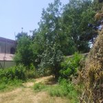 Satılır 8 otaqlı Həyət evi/villa Xaçmaz 15