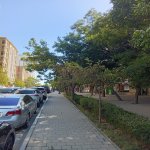 Аренда 1 комнат Вторичка, м. Эльмляр Академиясы метро, Ясамал район 2
