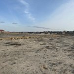 Satılır Torpaq, Novxanı, Abşeron rayonu 9