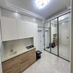 Kirayə (aylıq) 2 otaqlı Yeni Tikili, Nəriman Nərimanov metrosu, Nərimanov rayonu 14