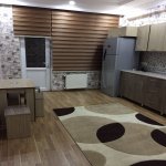 Kirayə (aylıq) 2 otaqlı Yeni Tikili, Elmlər akademiyası metrosu, Yasamal qəs., Yasamal rayonu 12