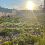 Продажа Участок, пос. Бадамдар, Сябаиль район 5