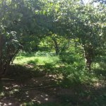 Satılır 6 otaqlı Həyət evi/villa Gəncə 9