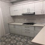Kirayə (aylıq) 2 otaqlı Yeni Tikili, Qara Qarayev metrosu, Nizami rayonu 7