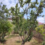 Satılır 4 otaqlı Bağ evi, Saray, Abşeron rayonu 11