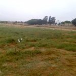 Satılır Torpaq, Əmircan qəs., Suraxanı rayonu 1