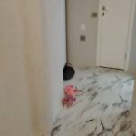 Kirayə (aylıq) 2 otaqlı Yeni Tikili Xırdalan 4