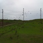Satılır Torpaq, Çiçək qəs., Binəqədi rayonu 5