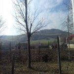 Satılır Torpaq İsmayıllı 1