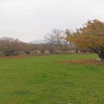 Satılır Torpaq Qəbələ 15