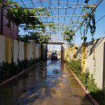 Kirayə (günlük) 3 otaqlı Bağ evi, Pirşağı qəs., Sabunçu rayonu 22