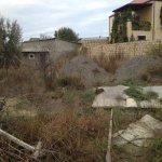 Satılır Torpaq, Saray, Abşeron rayonu 3