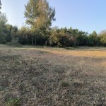 Продажа Участок Гябяля 6
