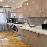 Kirayə (günlük) 3 otaqlı Yeni Tikili, Nəsimi rayonu 11