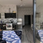 Kirayə (aylıq) 1 otaqlı Yeni Tikili, 28 May metrosu, 28 Mall, Nəsimi rayonu 3