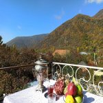 Kirayə (günlük) 3 otaqlı Həyət evi/villa Qax 10