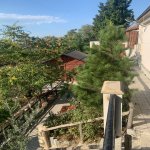 Kirayə (aylıq) Obyekt, 20 Yanvar metrosu, Yasamal rayonu 5
